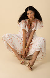 Elianna Embroidered Organza Maxi Dress