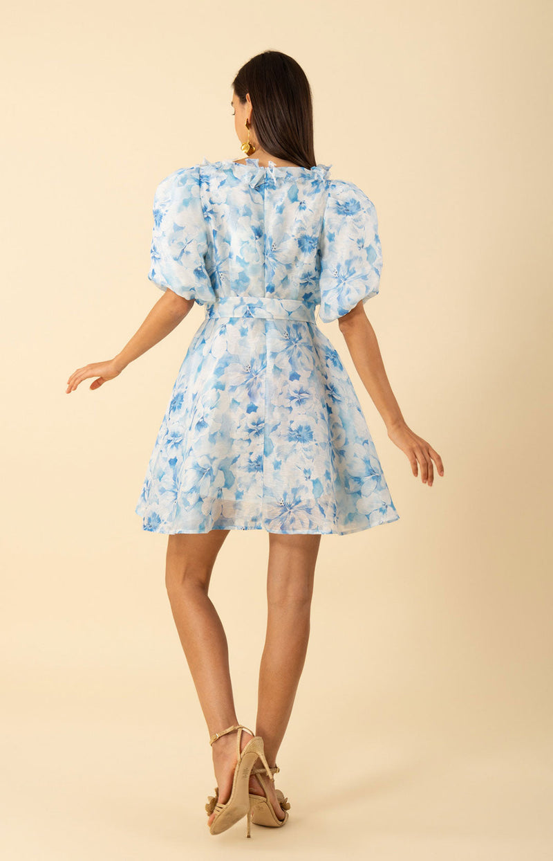 Promise Floral Trim Organza Dress